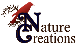 Nature Creations Logo